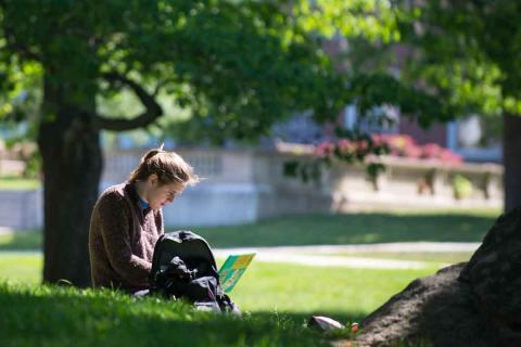 student on the lawn studying on campus